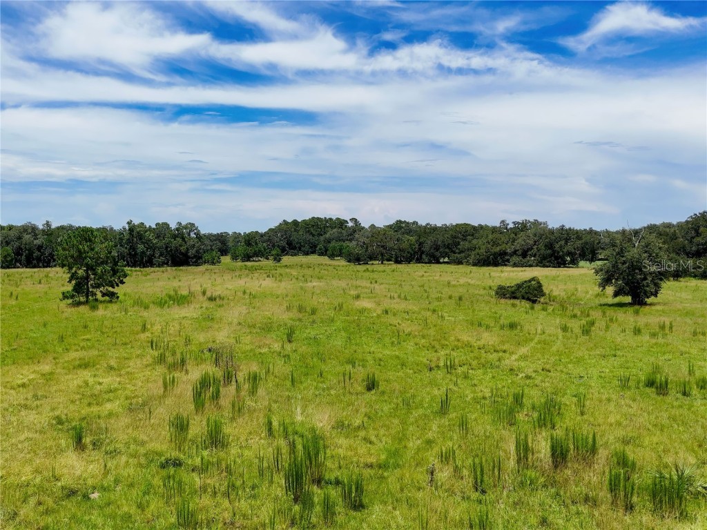 20089 Ayers Road Brooksville FL 34604 W7877261 image12