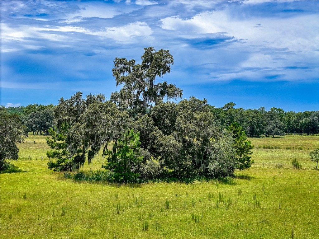 20089 Ayers Road Brooksville FL 34604 W7877261 image14