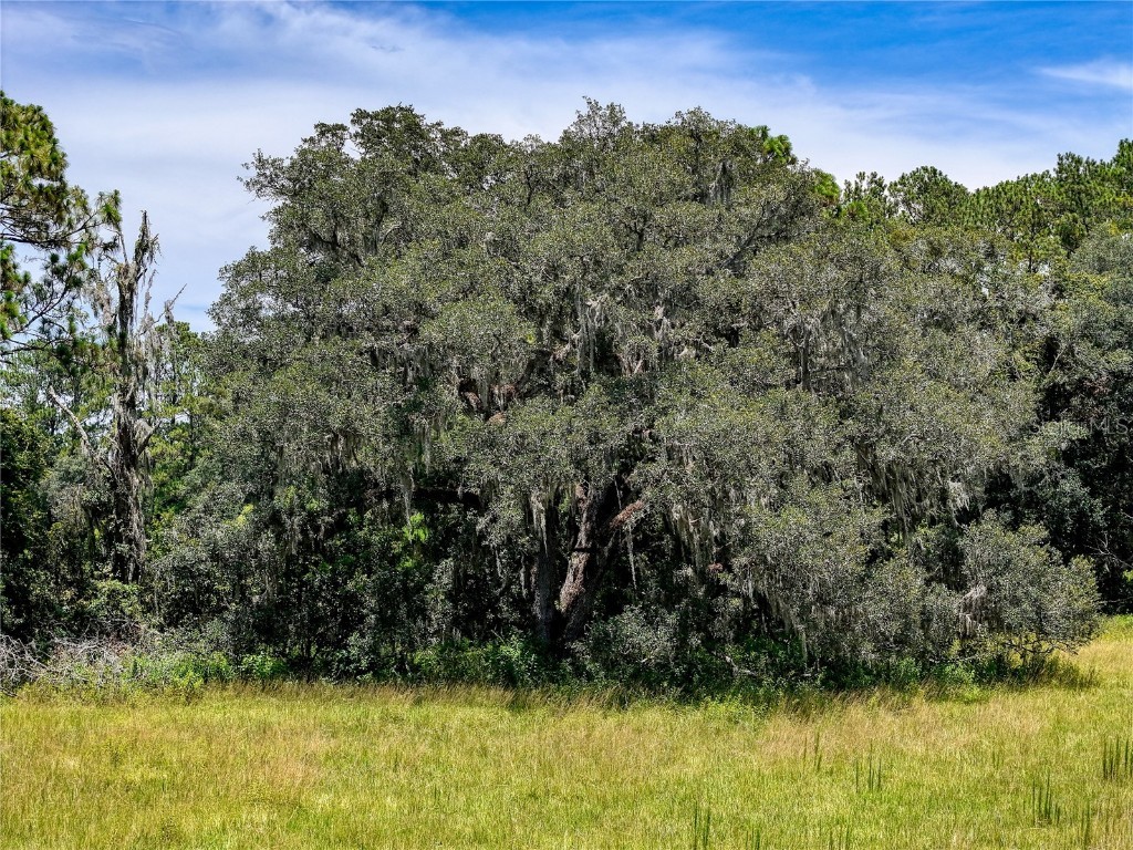 20089 Ayers Road Brooksville FL 34604 W7877261 image16