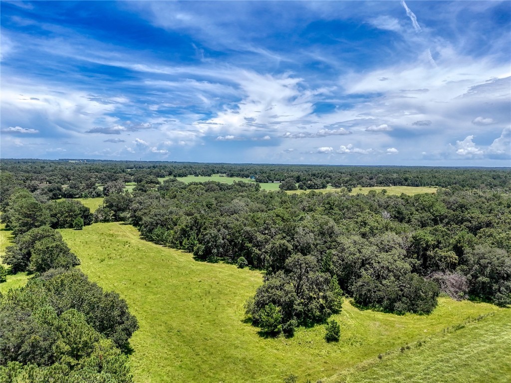 20089 Ayers Road Brooksville FL 34604 W7877261 image21