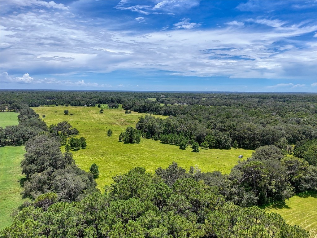 20089 Ayers Road Brooksville FL 34604 W7877261 image23