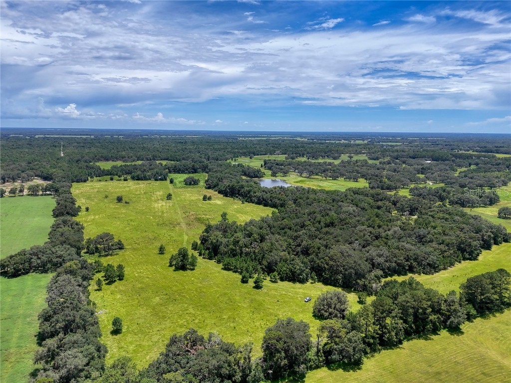 20089 Ayers Road Brooksville FL 34604 W7877261 image24