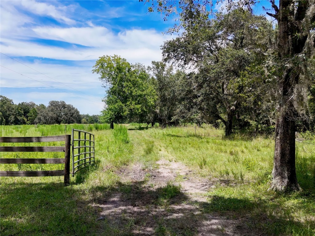 20089 Ayers Road Brooksville FL 34604 W7877261 image27