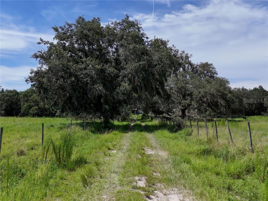 20089 Ayers Road Brooksville FL 34604 W7877261 image36