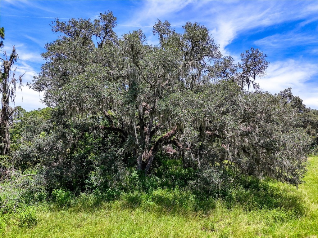 20089 Ayers Road Brooksville FL 34604 W7877261 image40