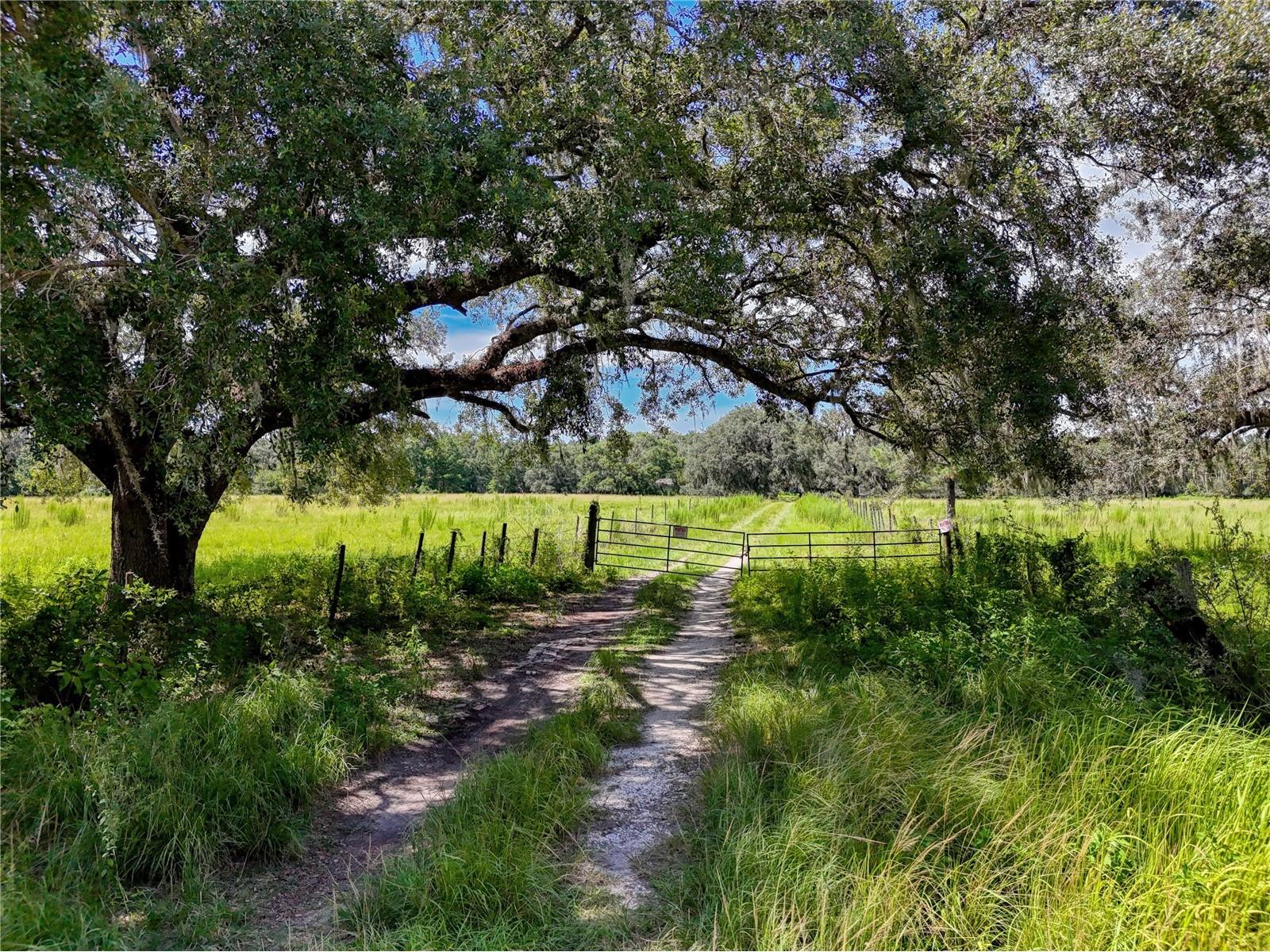 20089 Ayers Road Brooksville FL 34604 - SQUIRREL PRARIE W7877630 image12