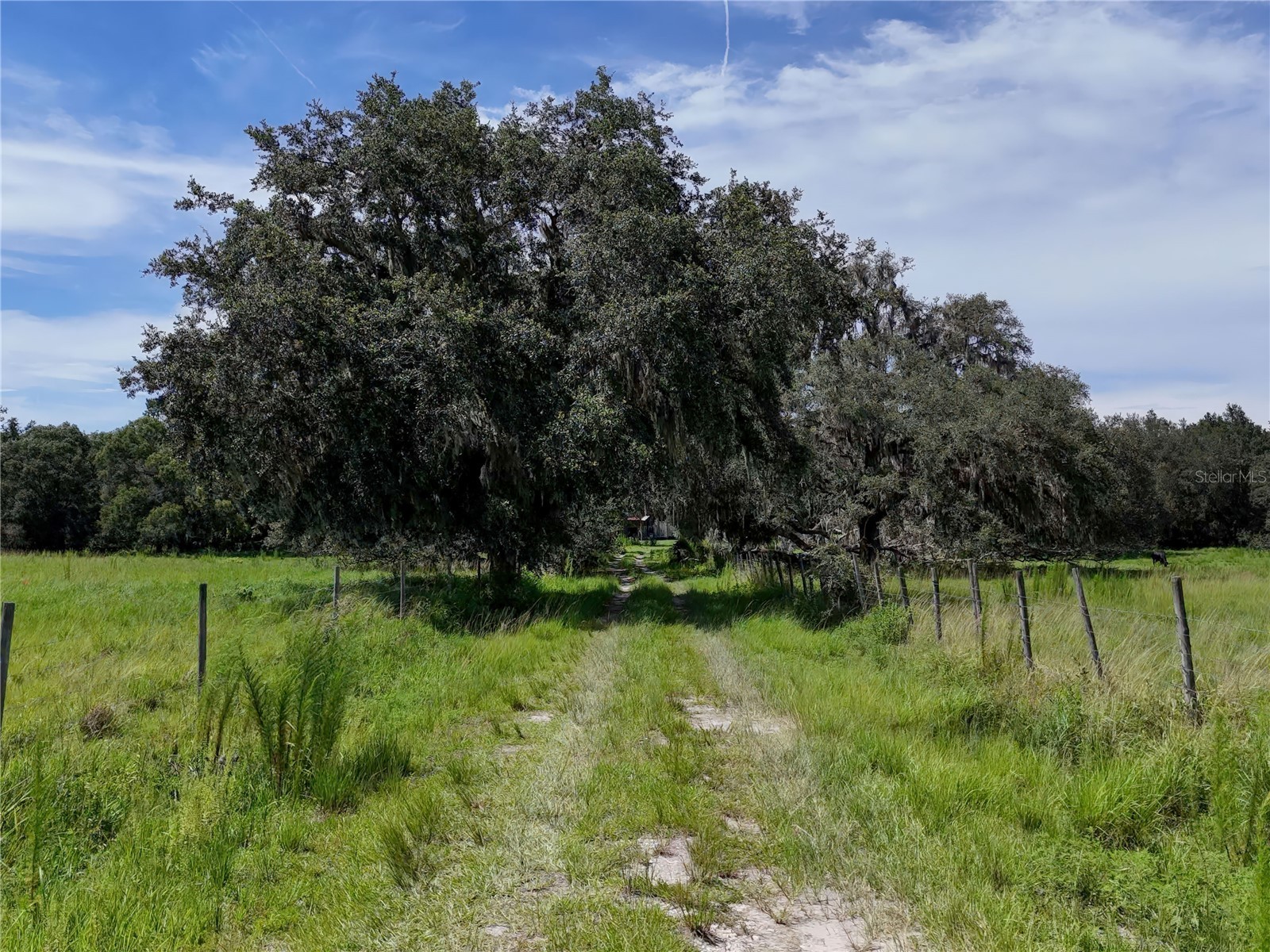 20089 Ayers Road Brooksville FL 34604 - SQUIRREL PRARIE W7877630 image13