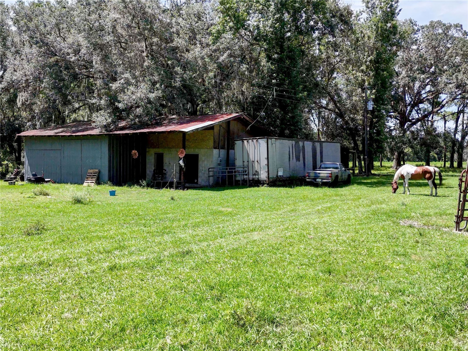 20089 Ayers Road Brooksville FL 34604 - SQUIRREL PRARIE W7877630 image15