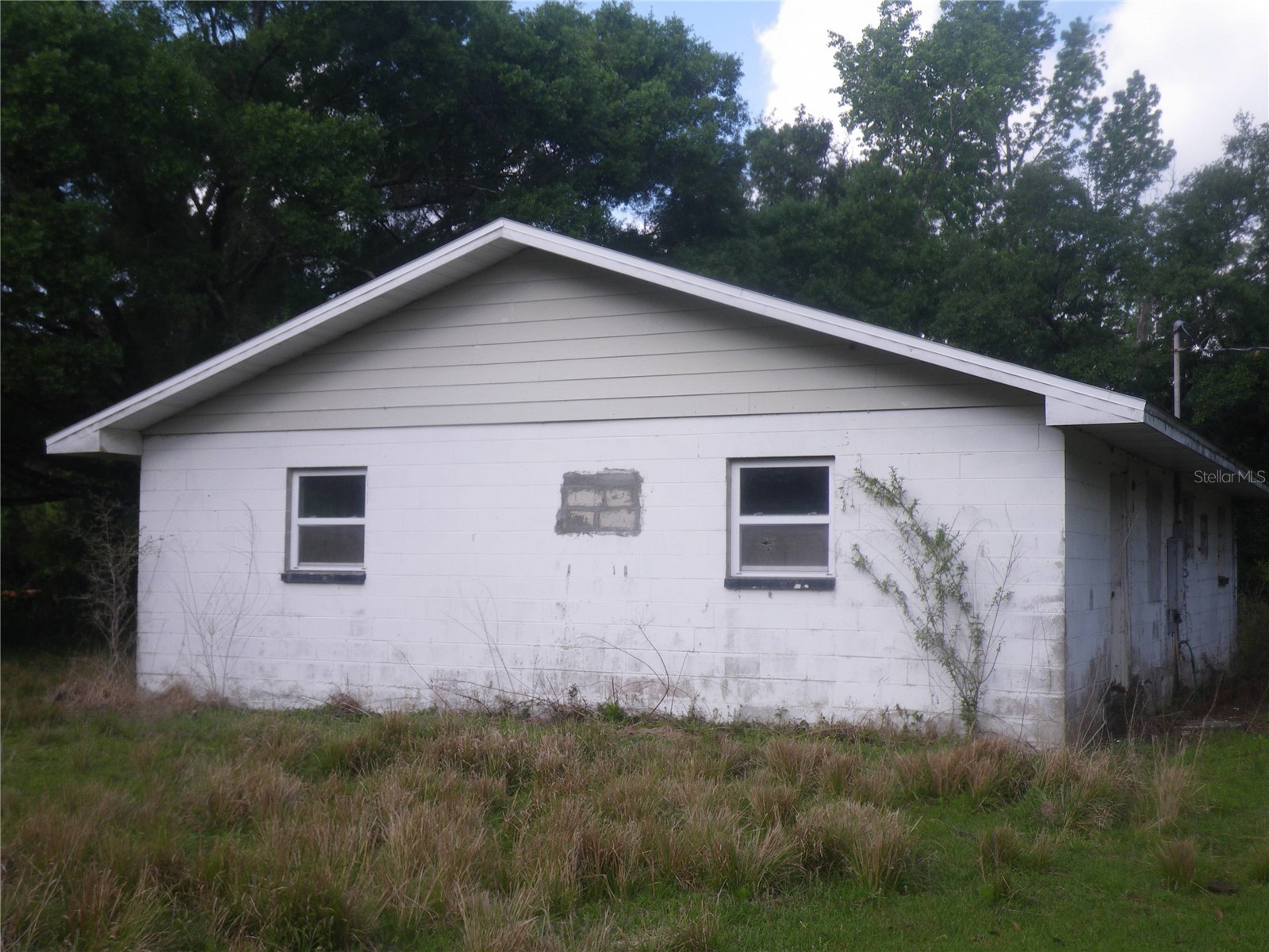 20089 Ayers Road Brooksville FL 34604 - SQUIRREL PRARIE W7877630 image2