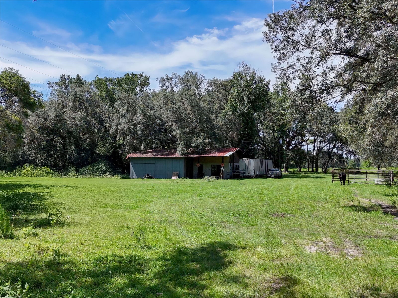 20089 Ayers Road Brooksville FL 34604 - SQUIRREL PRARIE W7877630 image20