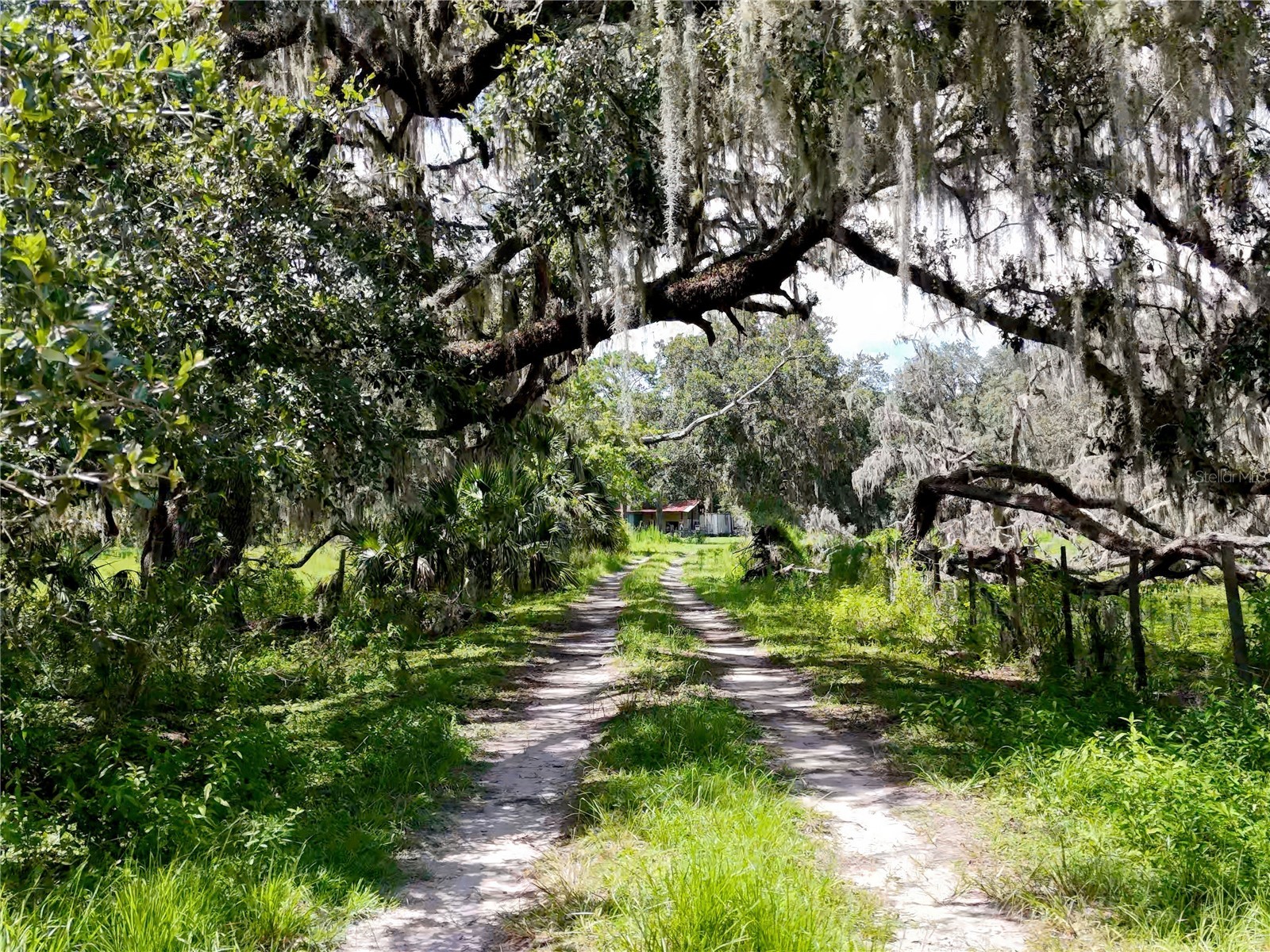 20089 Ayers Road Brooksville FL 34604 - SQUIRREL PRARIE W7877630 image3