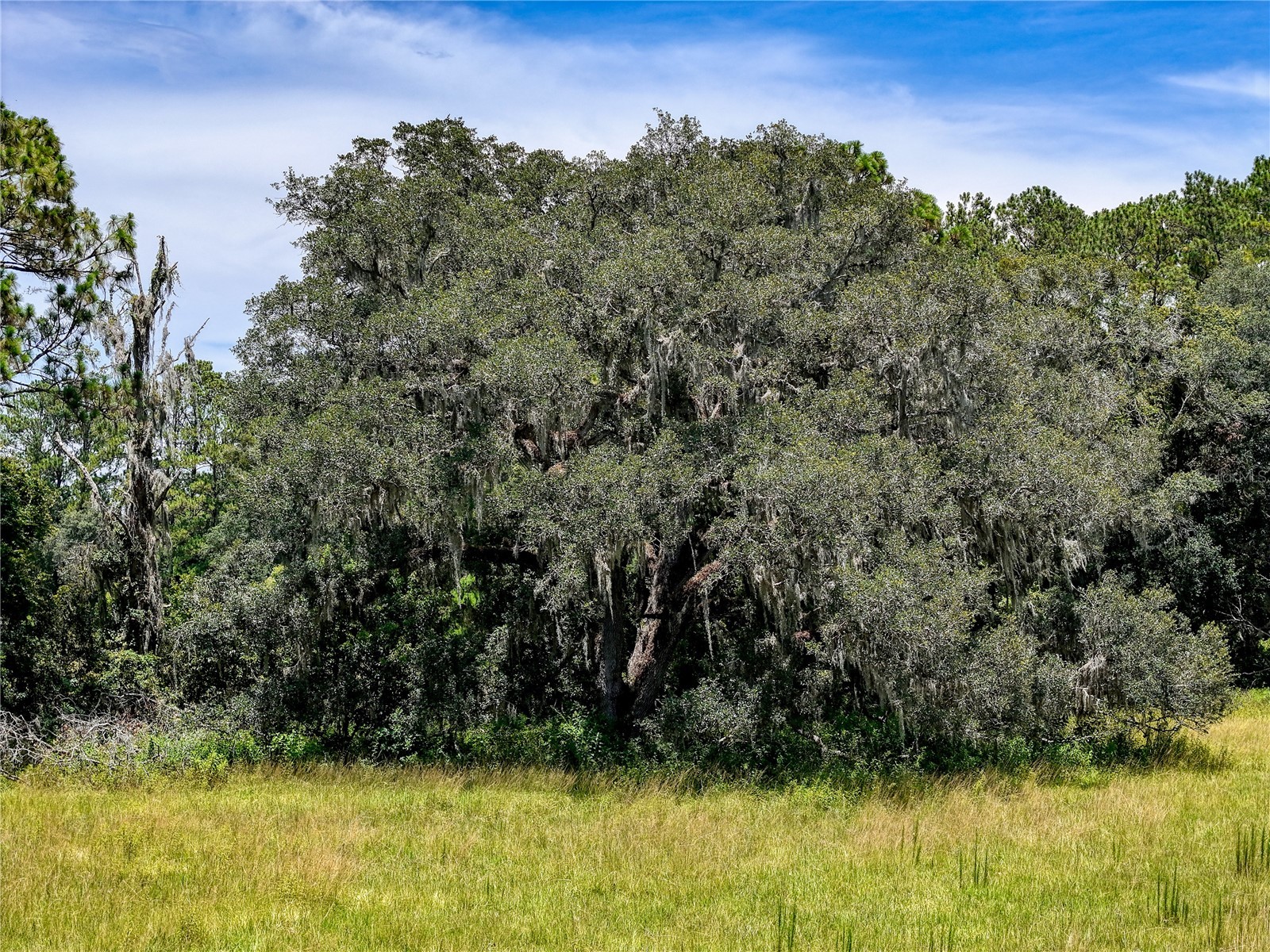 20089 Ayers Road Brooksville FL 34604 - SQUIRREL PRARIE W7877630 image33