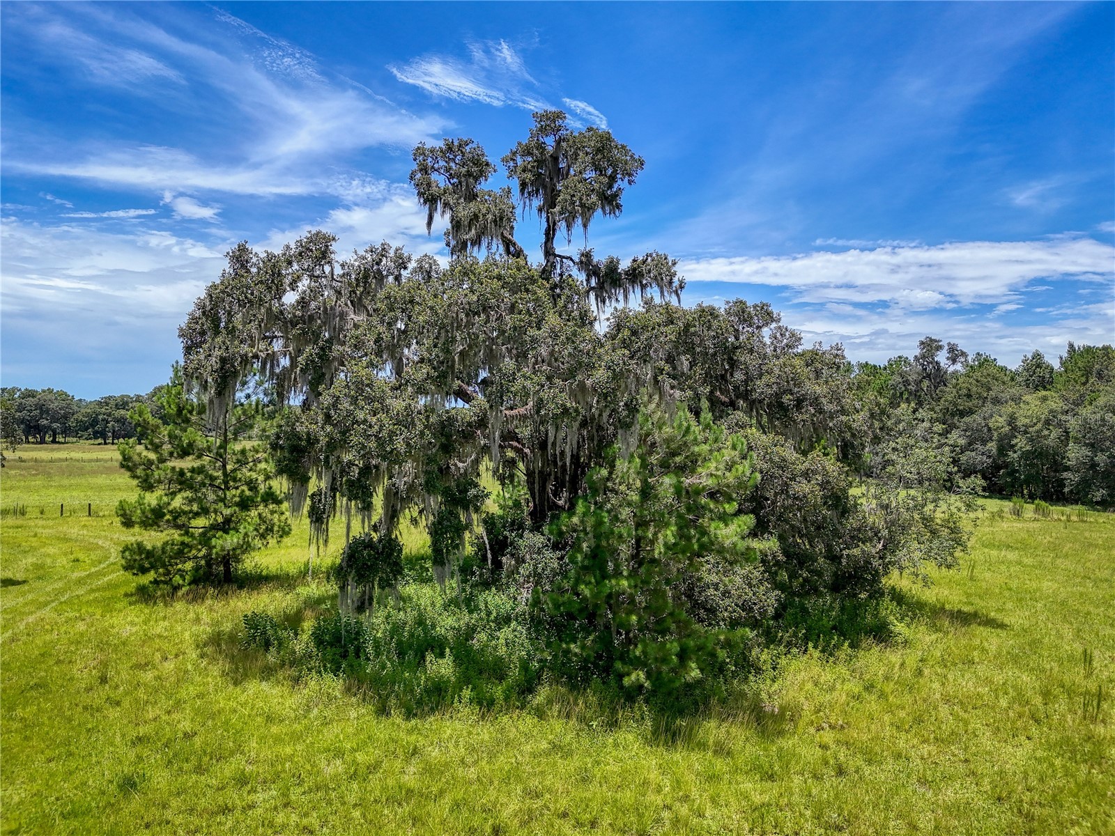 20089 Ayers Road Brooksville FL 34604 - SQUIRREL PRARIE W7877630 image34