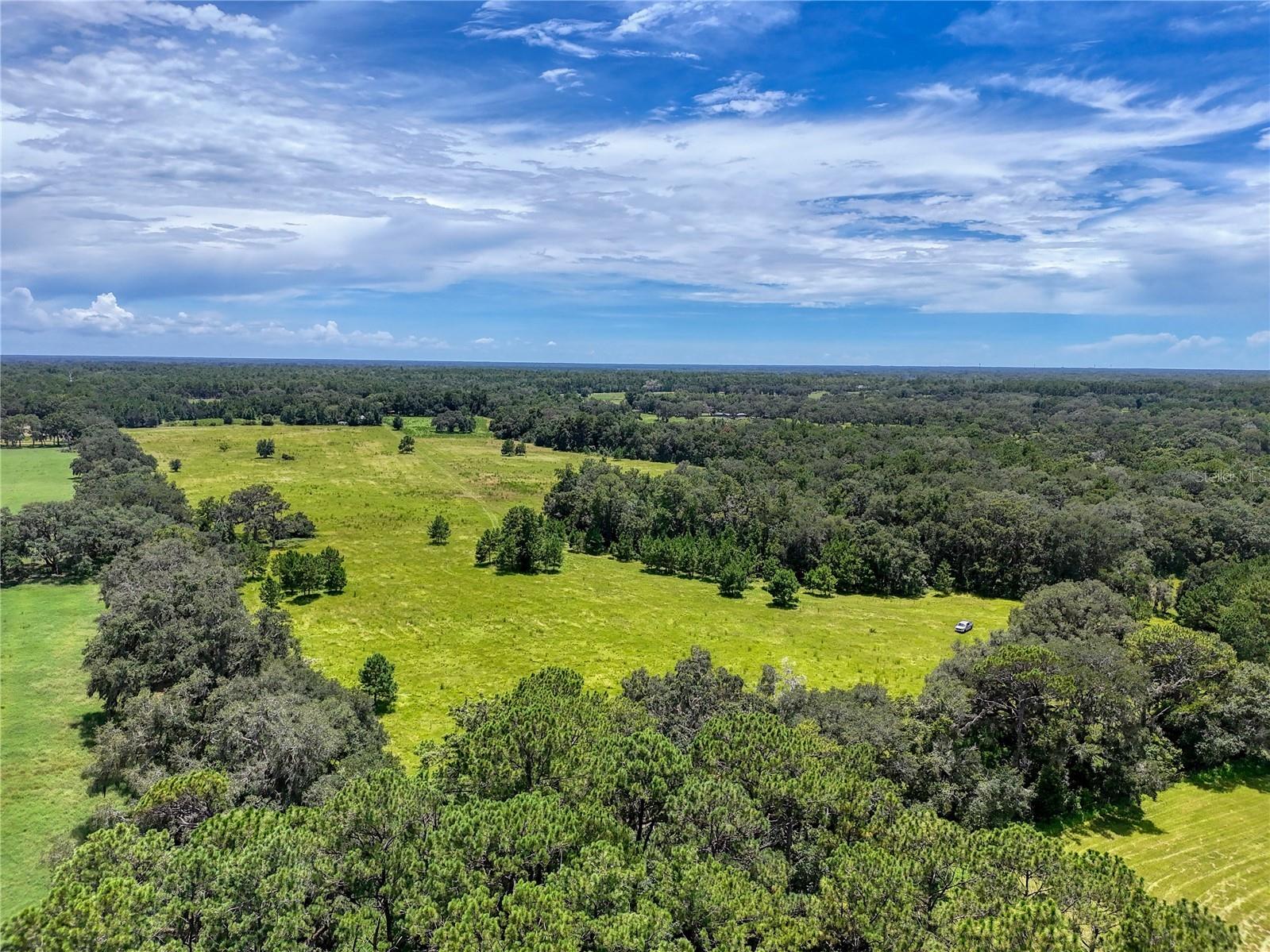 20089 Ayers Road Brooksville FL 34604 - SQUIRREL PRARIE W7877630 image41