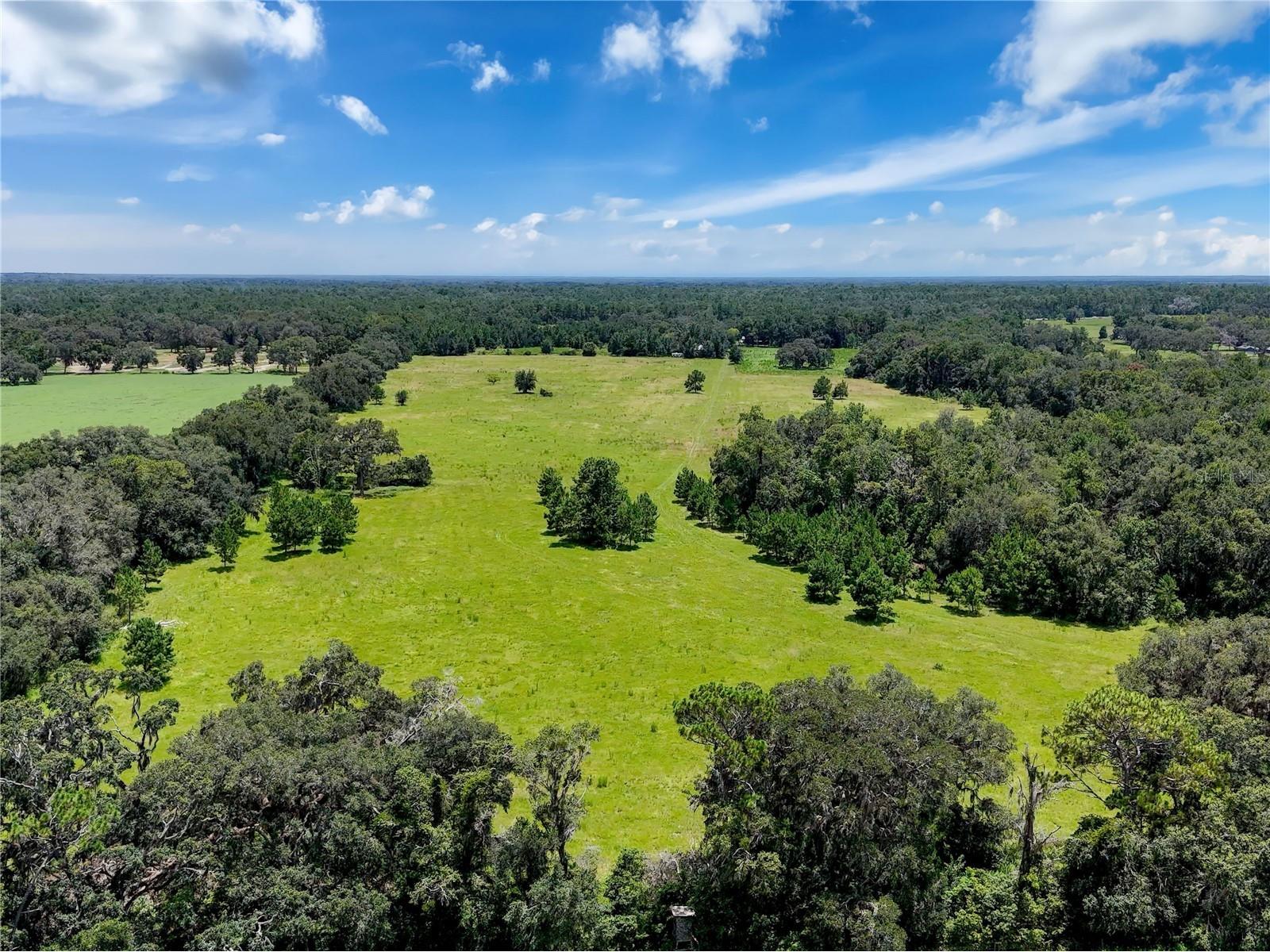 20089 Ayers Road Brooksville FL 34604 - SQUIRREL PRARIE W7877630 image8