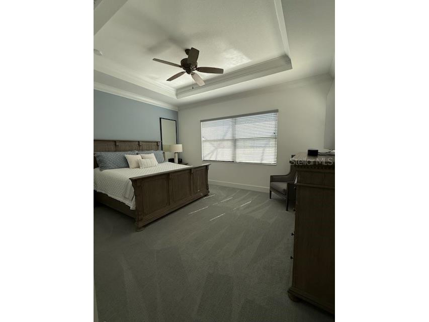 2009 6th Street E Palmetto FL 34221 A4674782 image58