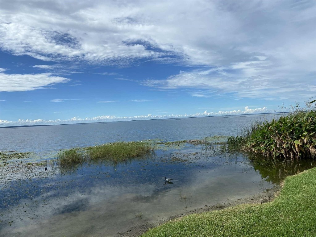 2009 Adair Street Ocoee FL 34761 O6344193 image33