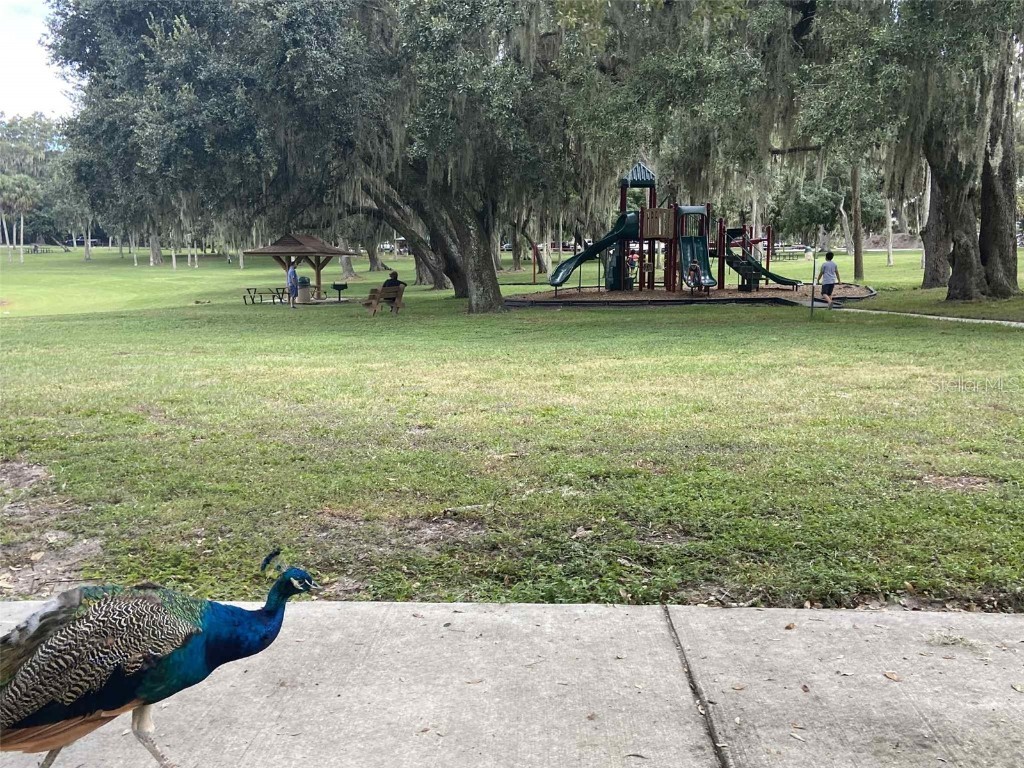 2009 Adair Street Ocoee FL 34761 O6344193 image41