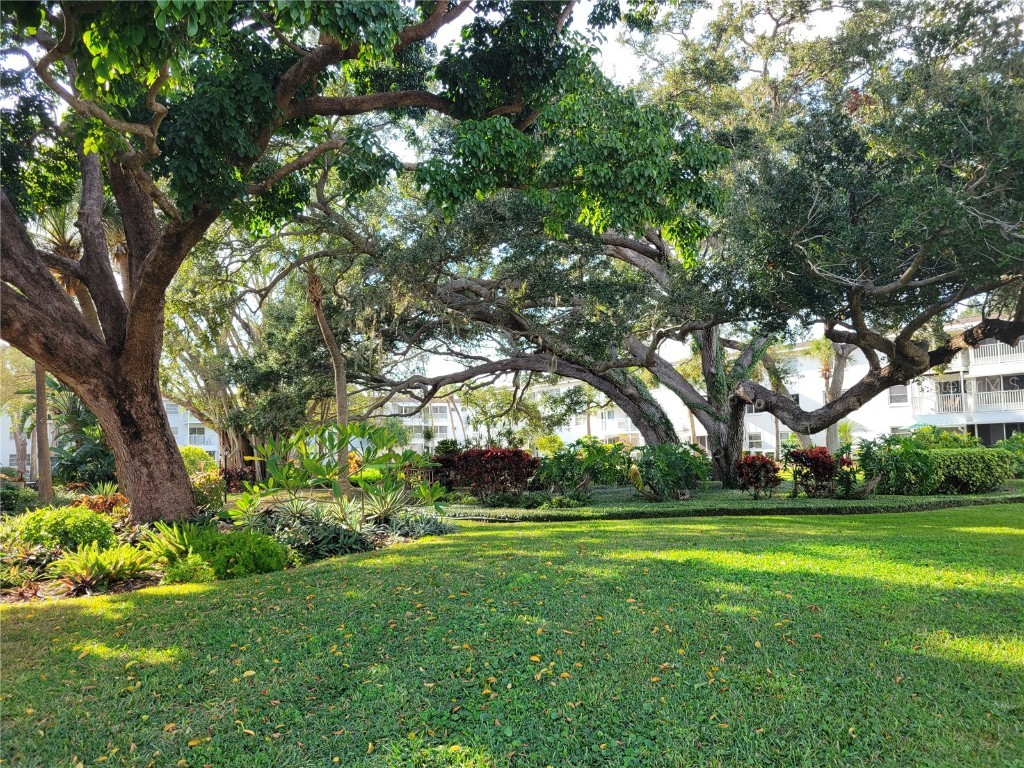 2009 Canal Drive #N4 Bradenton FL 34207 A4673498 image24