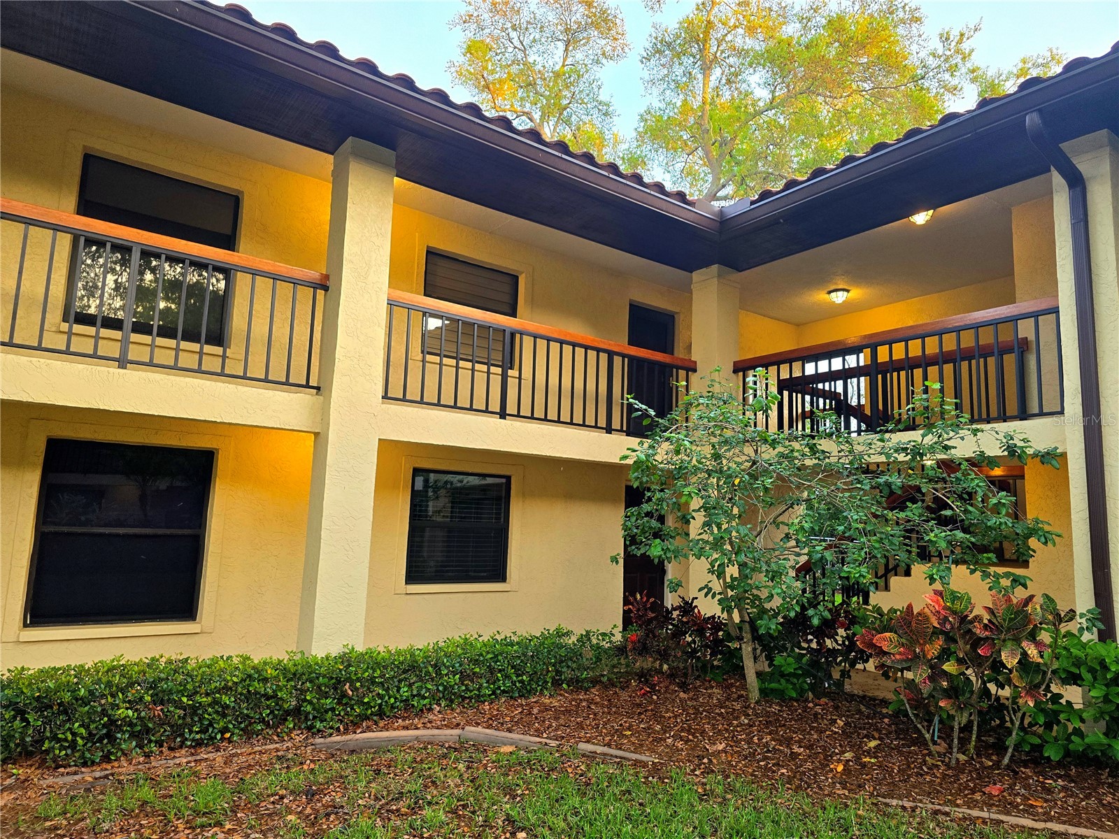2009 Hammock Pine Boulevard #2009 Clearwater FL 33761 TB8484773 image22