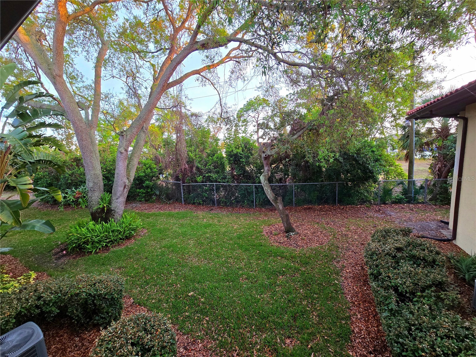 2009 Hammock Pine Boulevard #2009 Clearwater FL 33761 TB8484773 image23