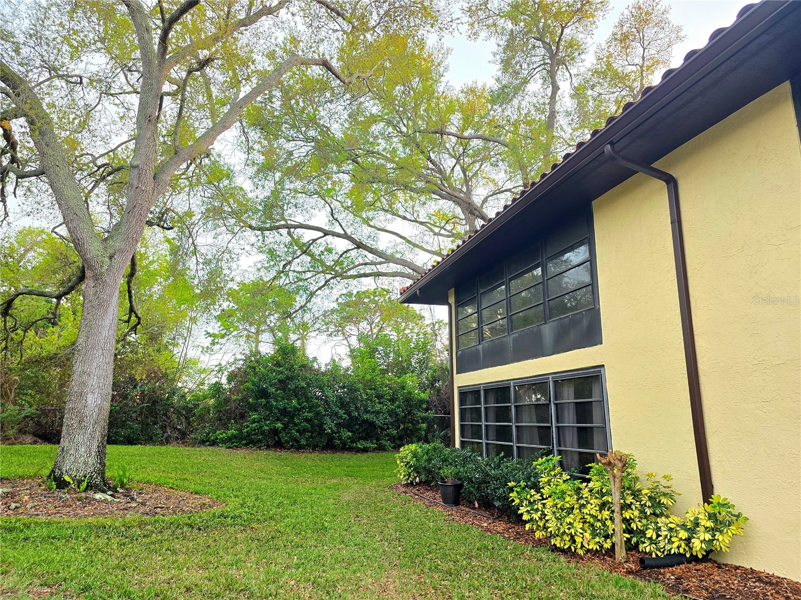 2009 Hammock Pine Boulevard #2009 Clearwater FL 33761 TB8484773 image24