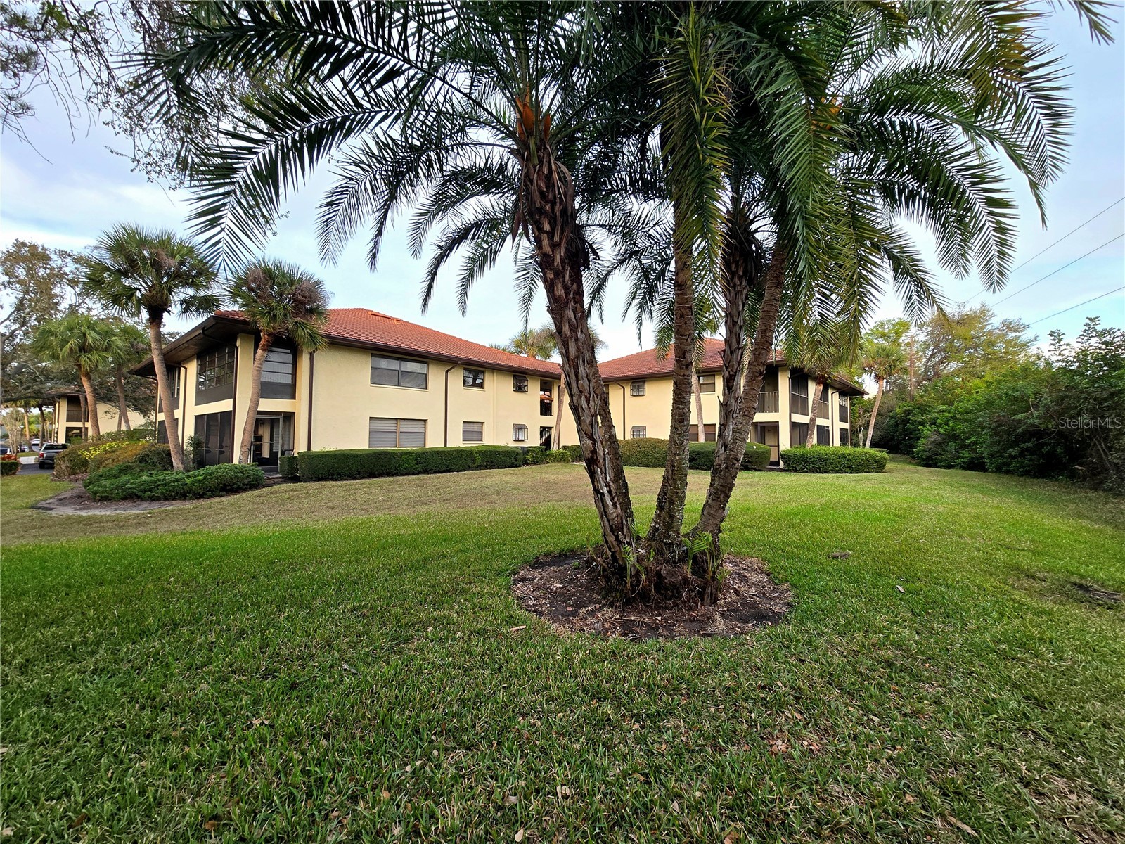 2009 Hammock Pine Boulevard #2009 Clearwater FL 33761 TB8484773 image26