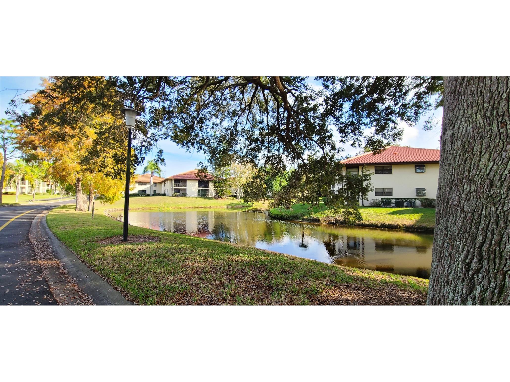 2009 Hammock Pine Boulevard #2009 Clearwater FL 33761 TB8484773 image27