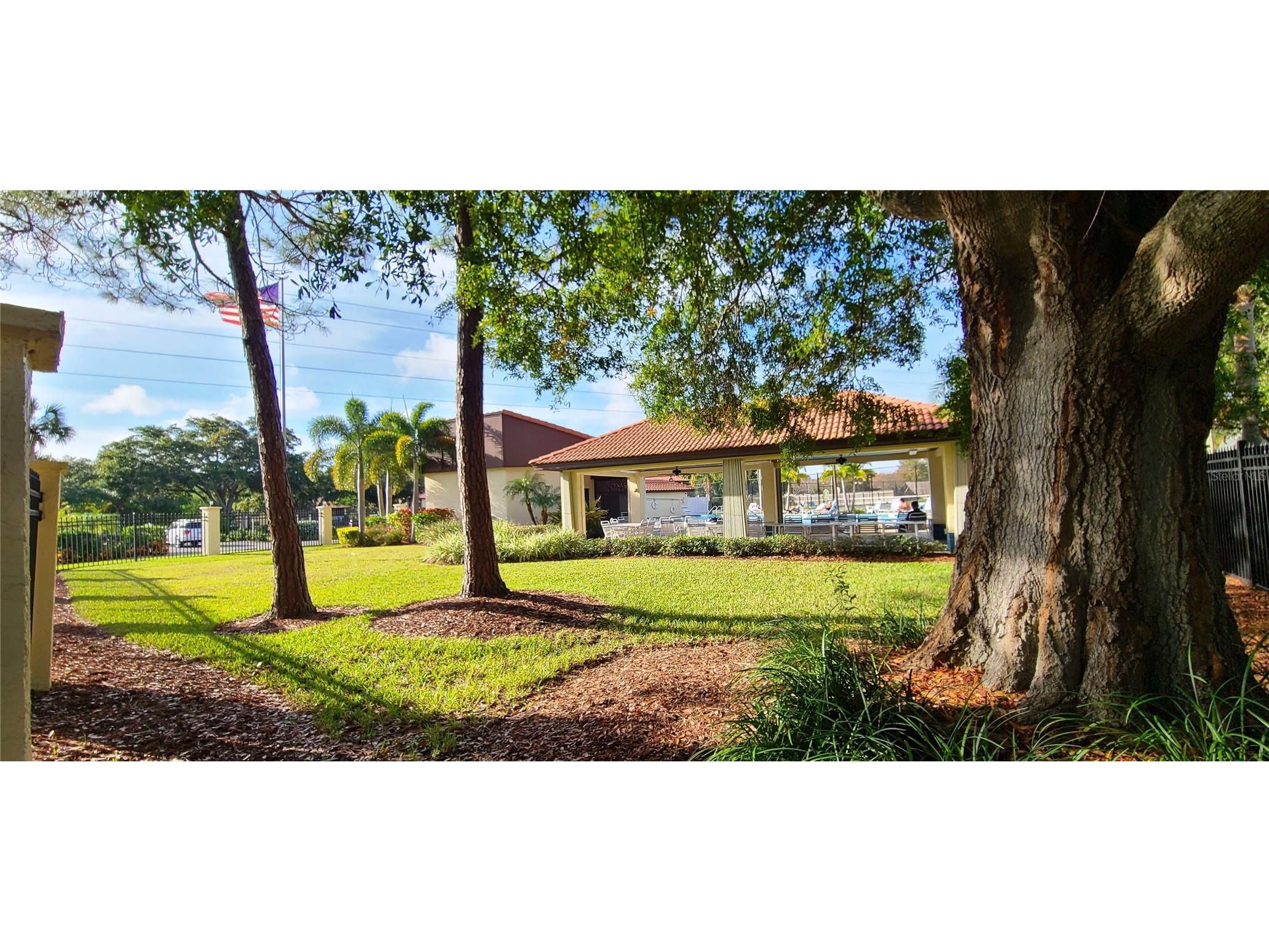 2009 Hammock Pine Boulevard #2009 Clearwater FL 33761 TB8484773 image30