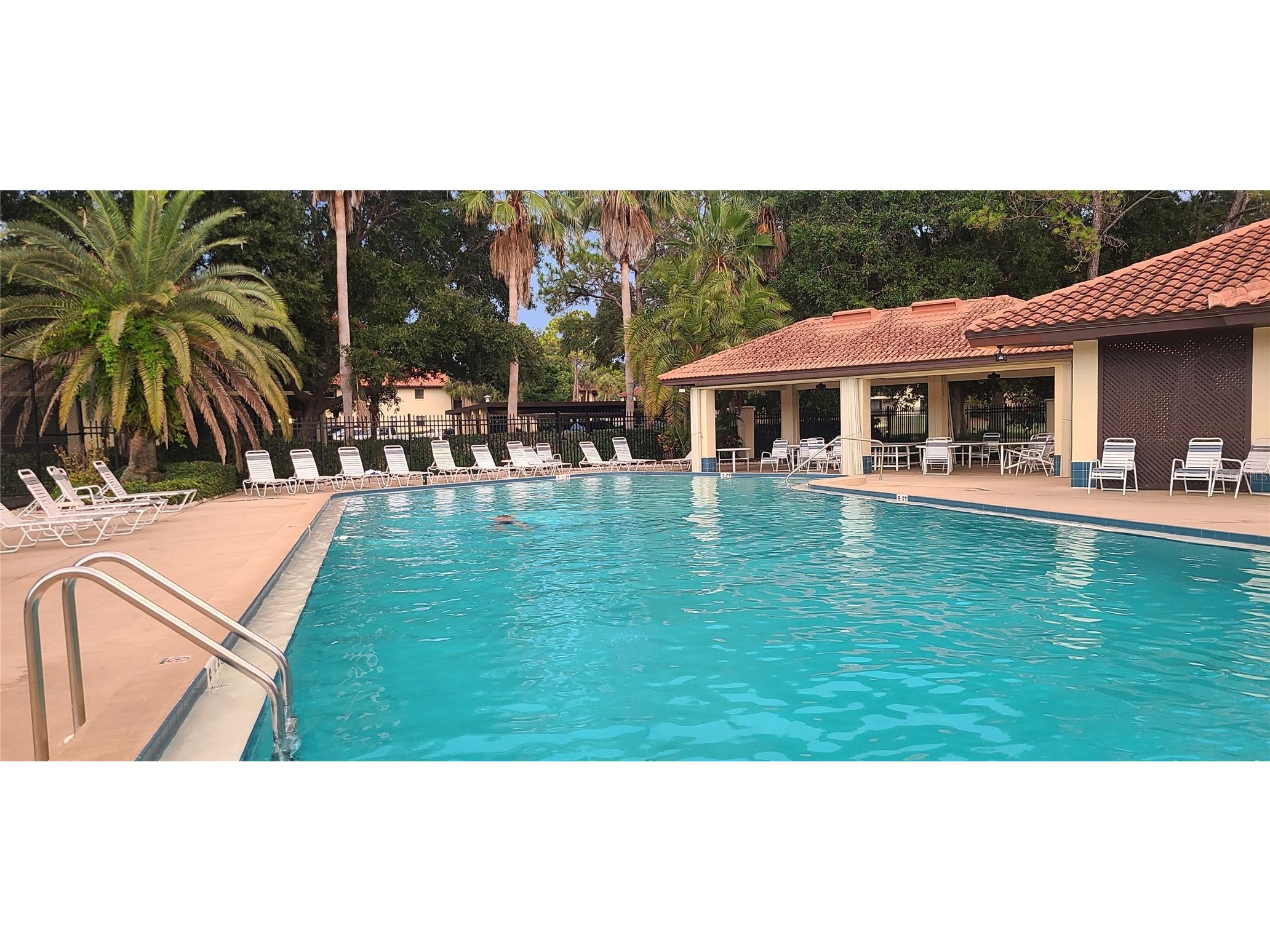 2009 Hammock Pine Boulevard #2009 Clearwater FL 33761 TB8484773 image32