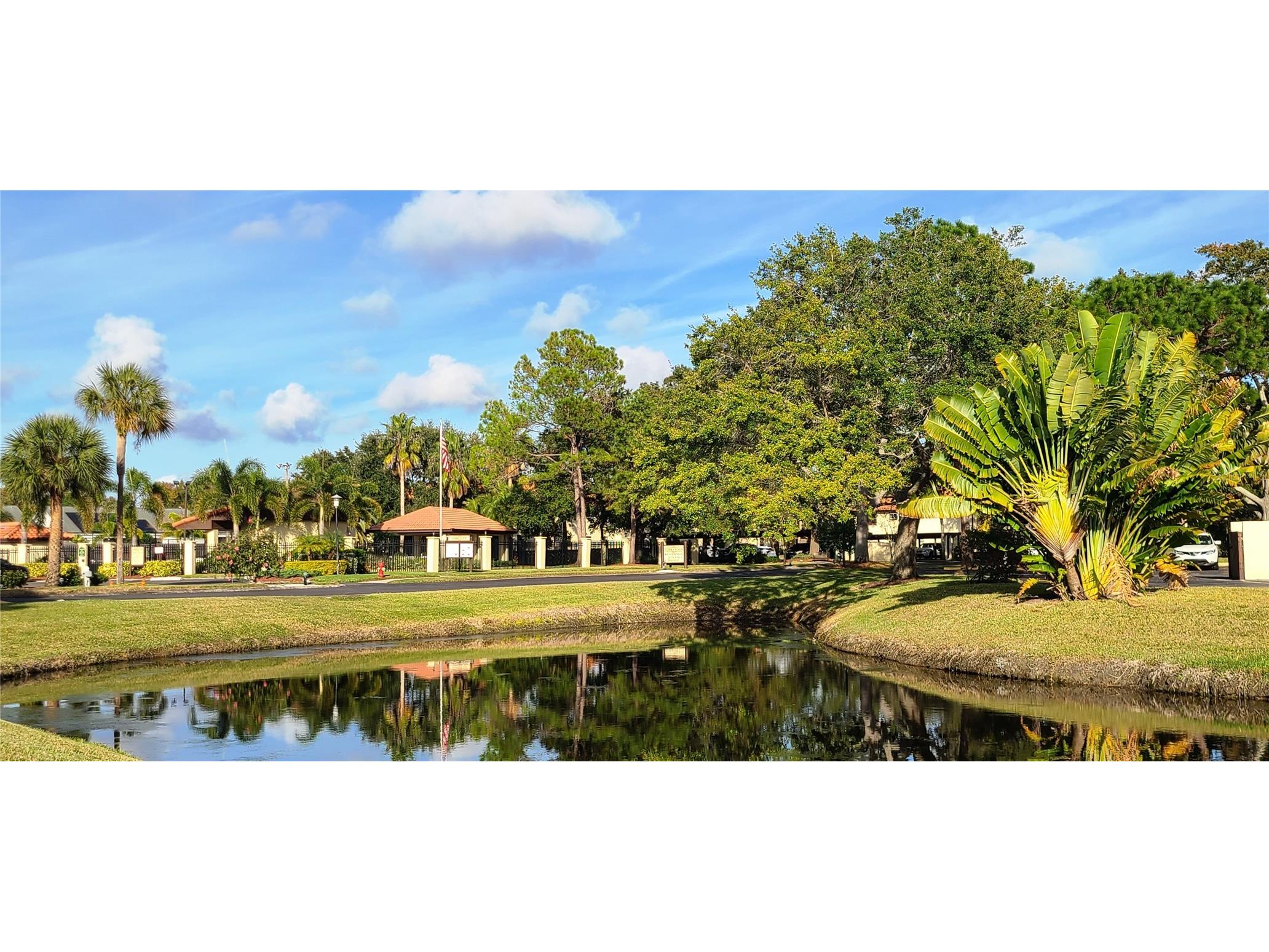 2009 Hammock Pine Boulevard #2009 Clearwater FL 33761 TB8484773 image33
