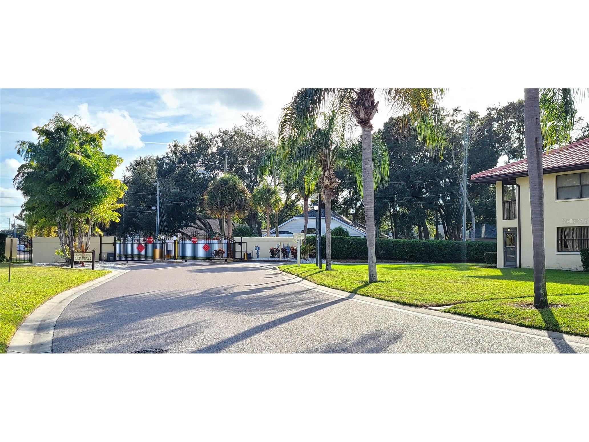 2009 Hammock Pine Boulevard #2009 Clearwater FL 33761 TB8484773 image34