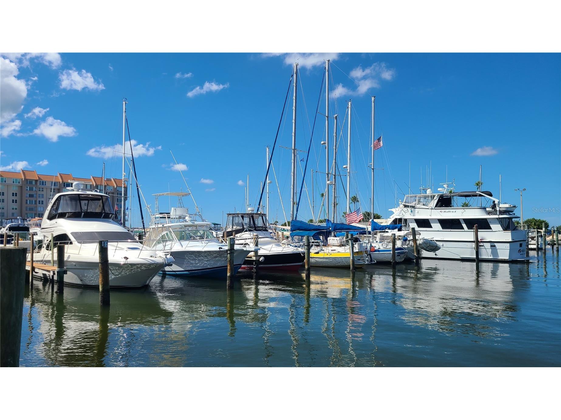 2009 Hammock Pine Boulevard #2009 Clearwater FL 33761 TB8484773 image41