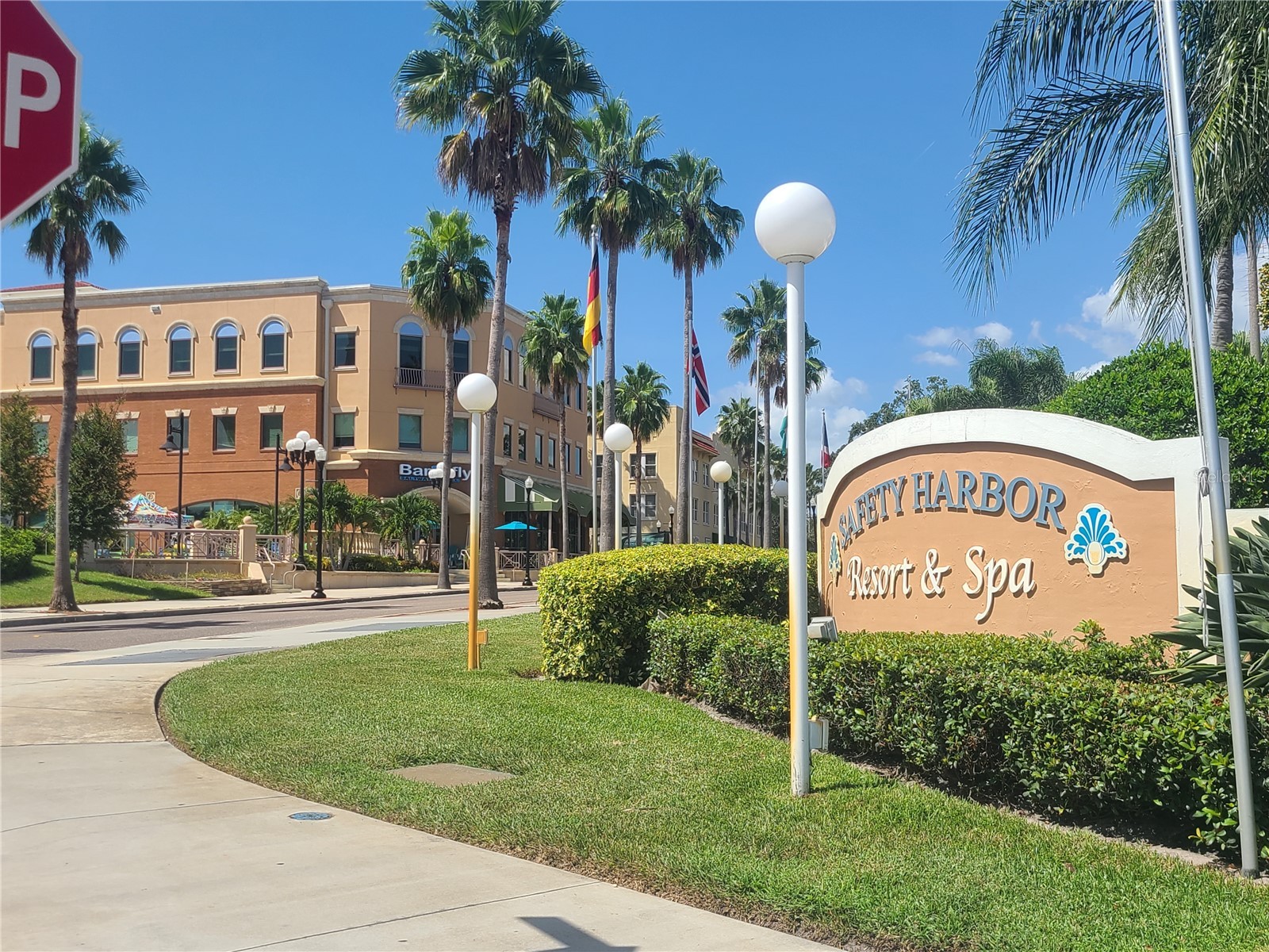 2009 Hammock Pine Boulevard #2009 Clearwater FL 33761 TB8484773 image44