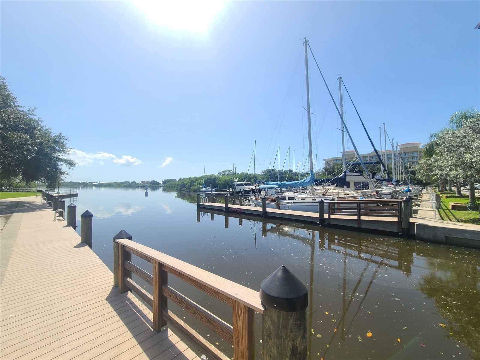 2009 Hammock Pine Boulevard #2009 Clearwater FL 33761 TB8484773 image45