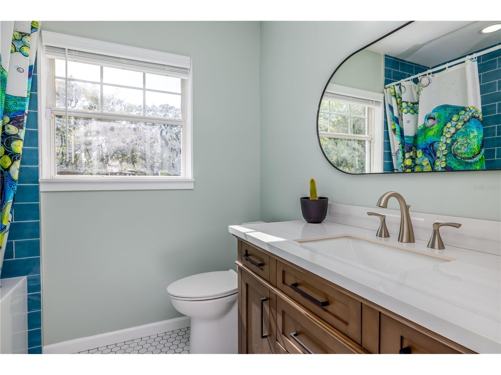 2009 Lily Court Sanford FL 32771 O6399819 image48