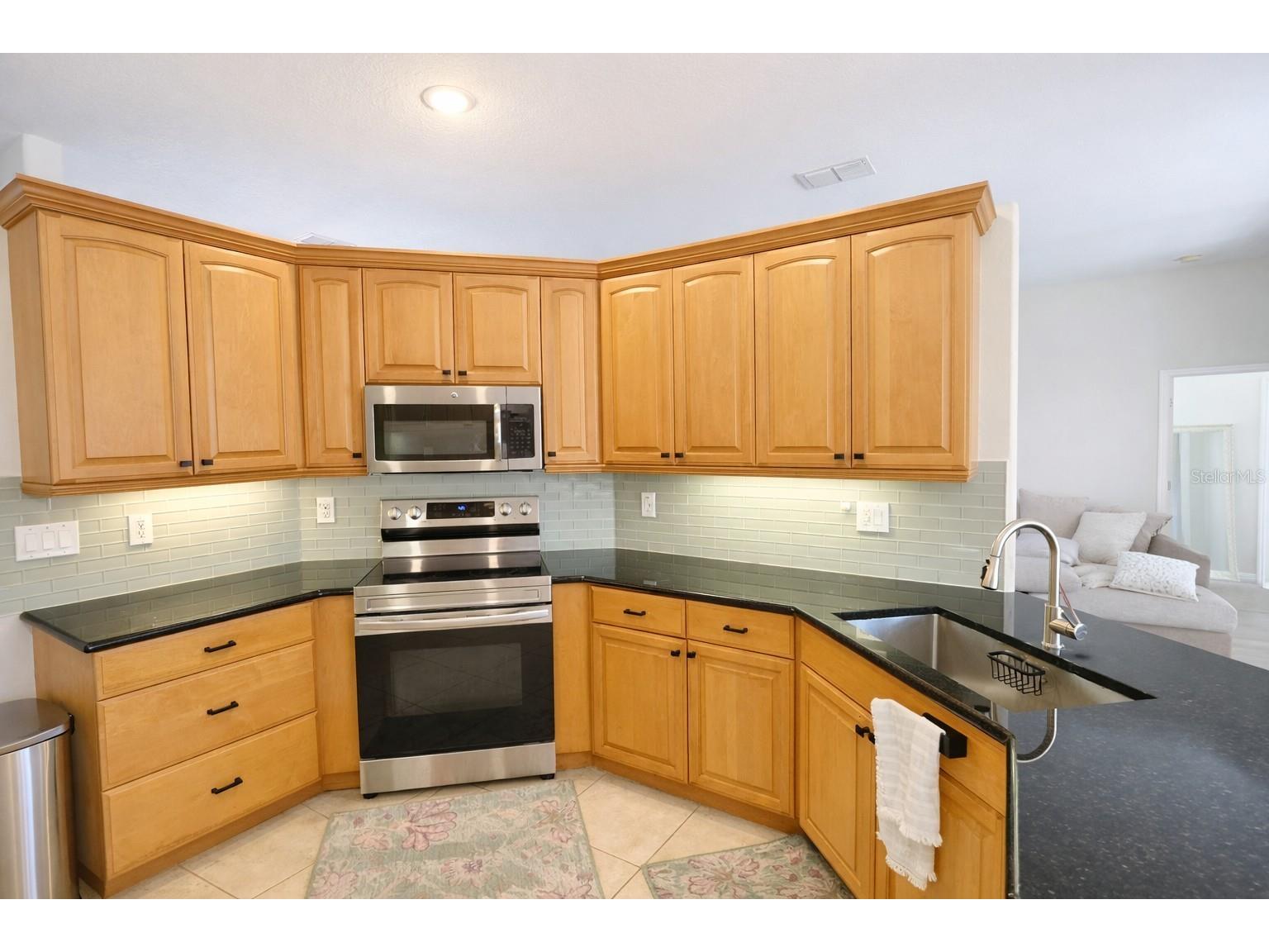 2009 Meadow Rue Court Trinity FL 34655 TB8509204 image3