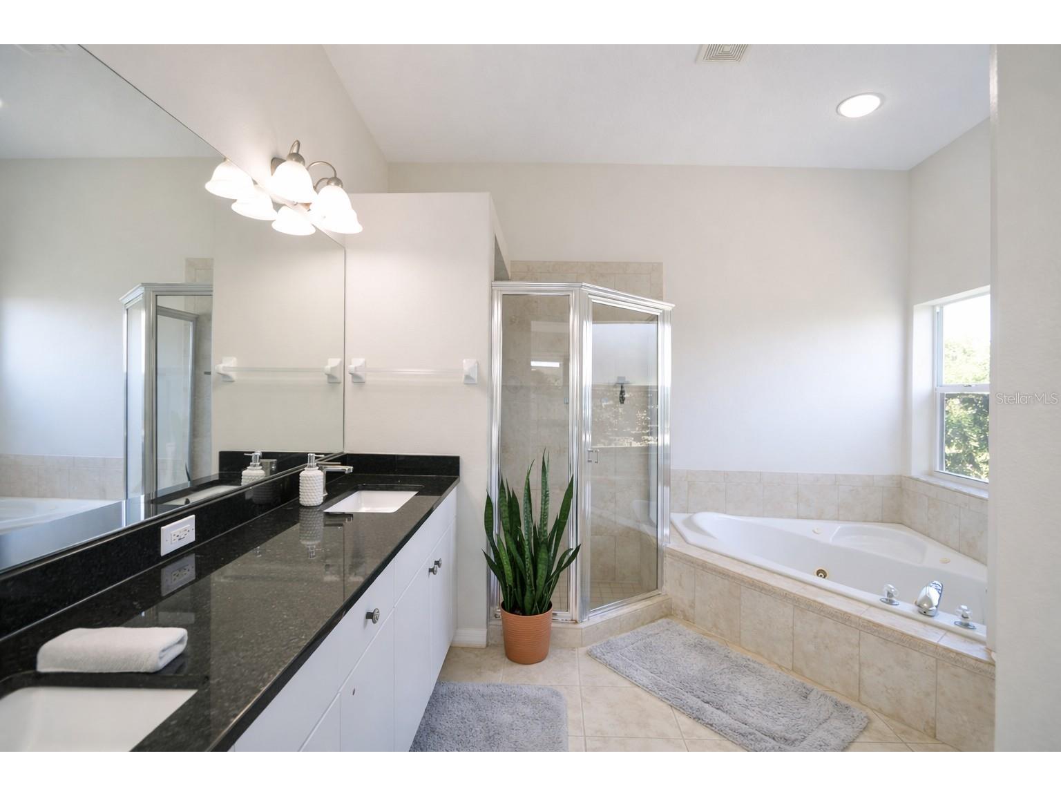 2009 Meadow Rue Court Trinity FL 34655 TB8509204 image9