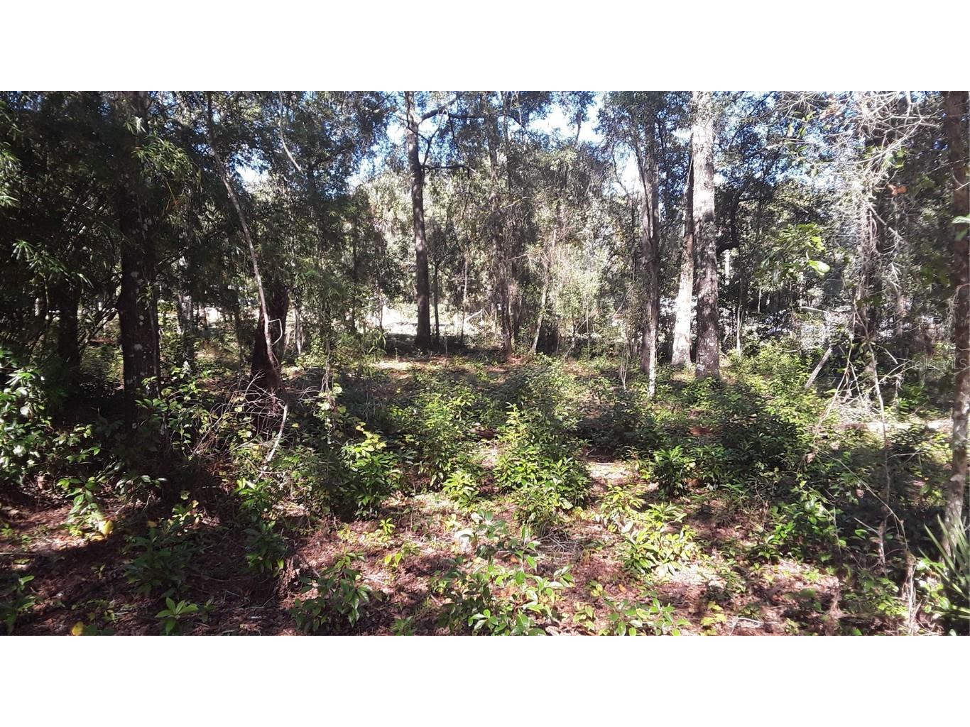 2009 Milton Street Inverness FL 34453 OM712353 image1