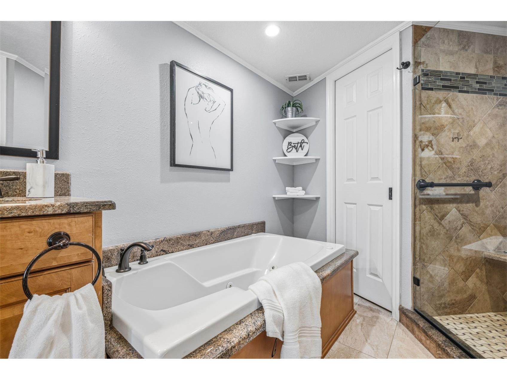 2009 Philippe Court Safety Harbor FL 34695 TB8526082 image20