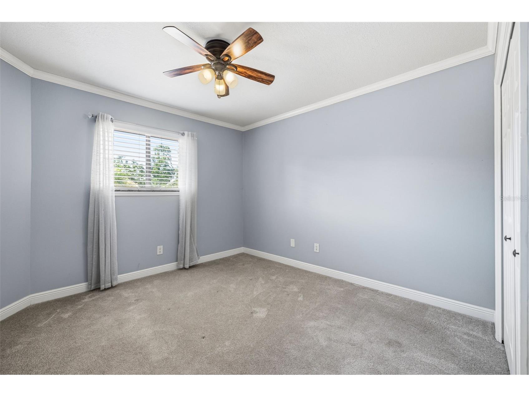 2009 Philippe Court Safety Harbor FL 34695 TB8526082 image22