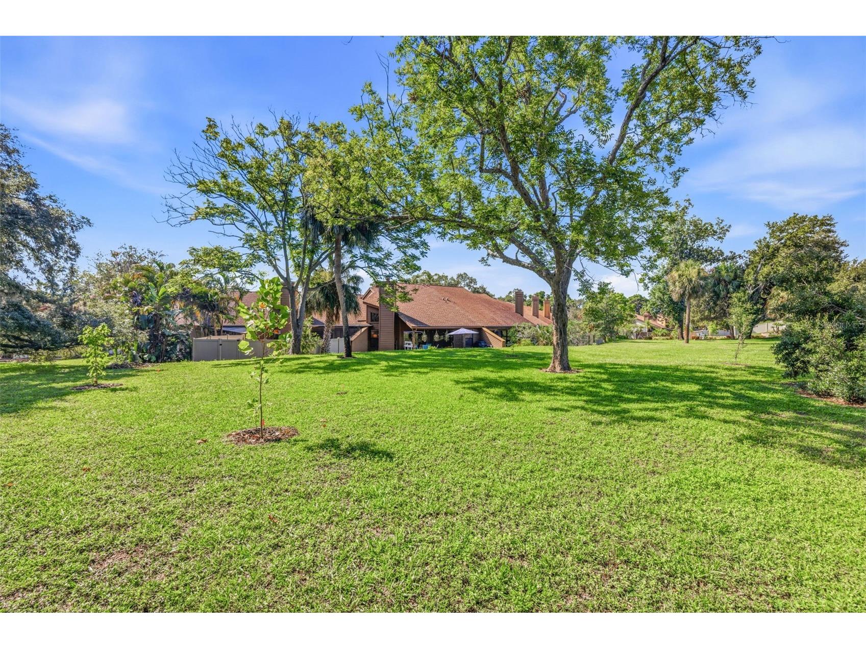 2009 Philippe Court Safety Harbor FL 34695 TB8526082 image28