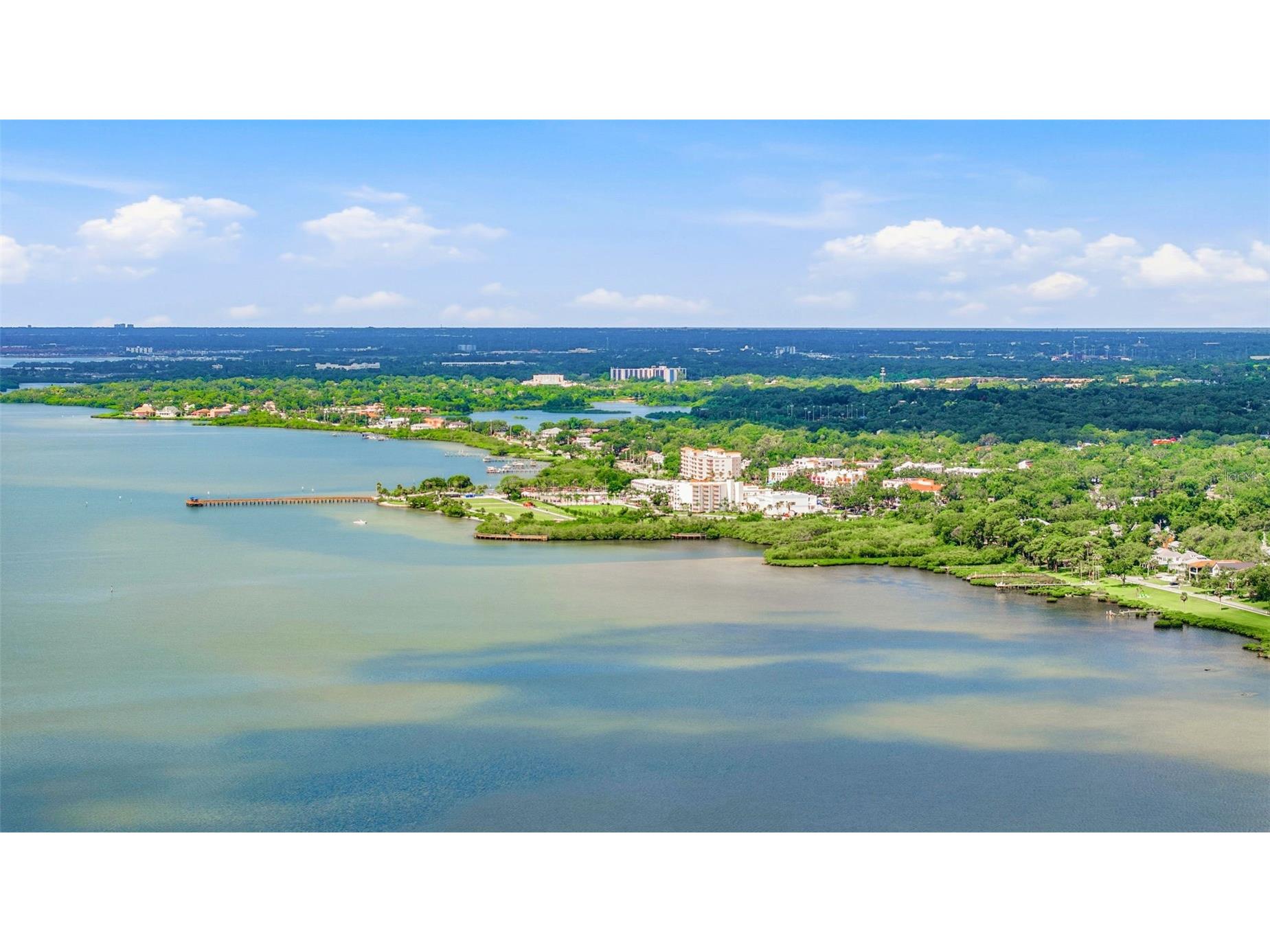 2009 Philippe Court Safety Harbor FL 34695 TB8526082 image41