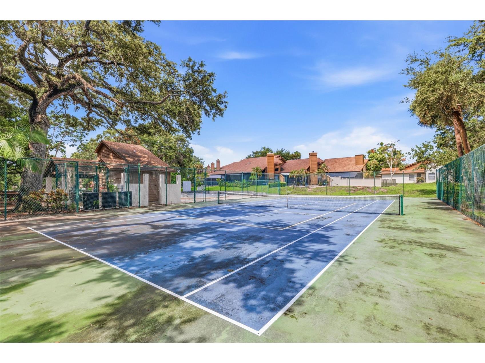 2009 Philippe Court Safety Harbor FL 34695 TB8526082 image44