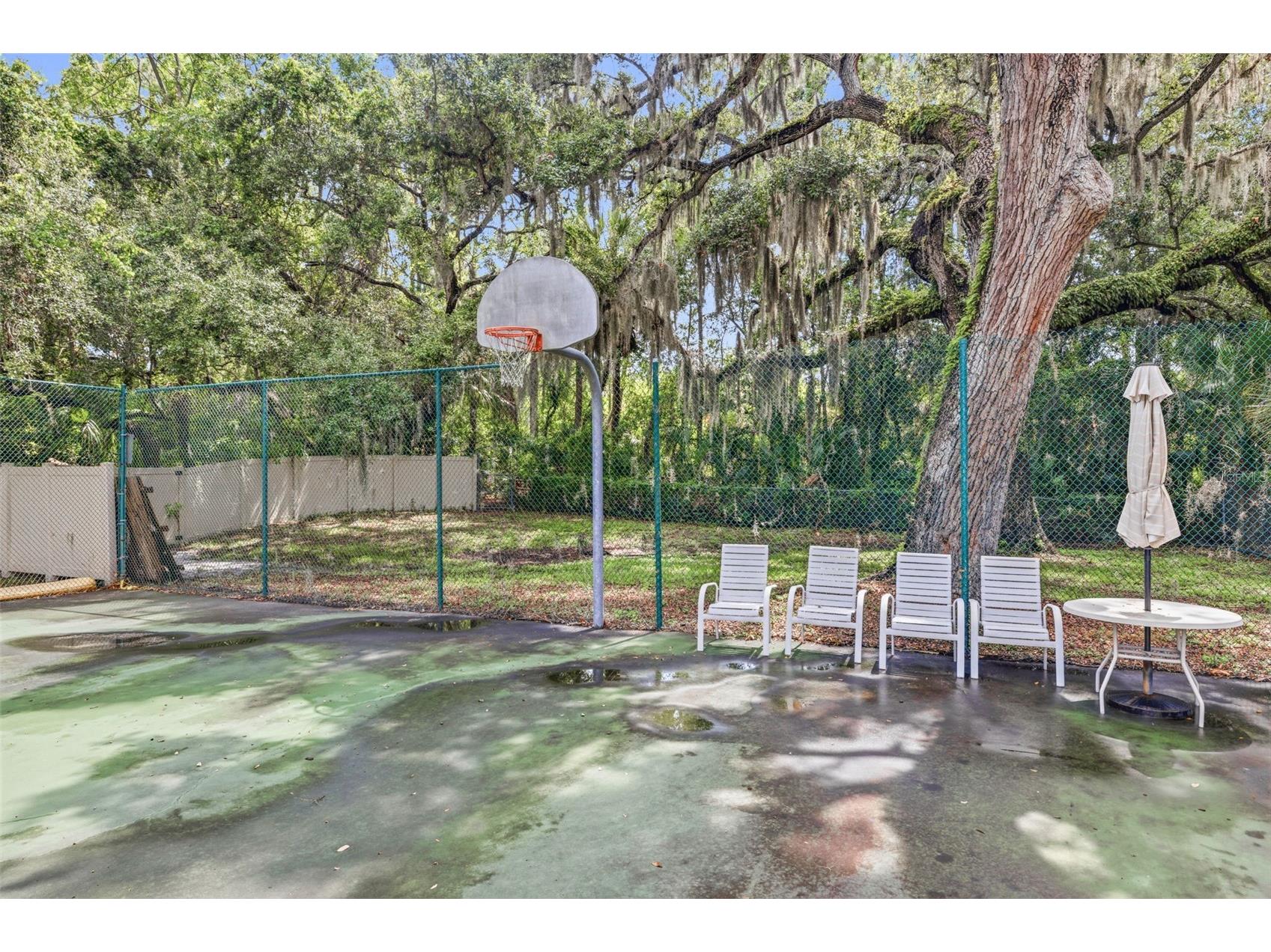 2009 Philippe Court Safety Harbor FL 34695 TB8526082 image45
