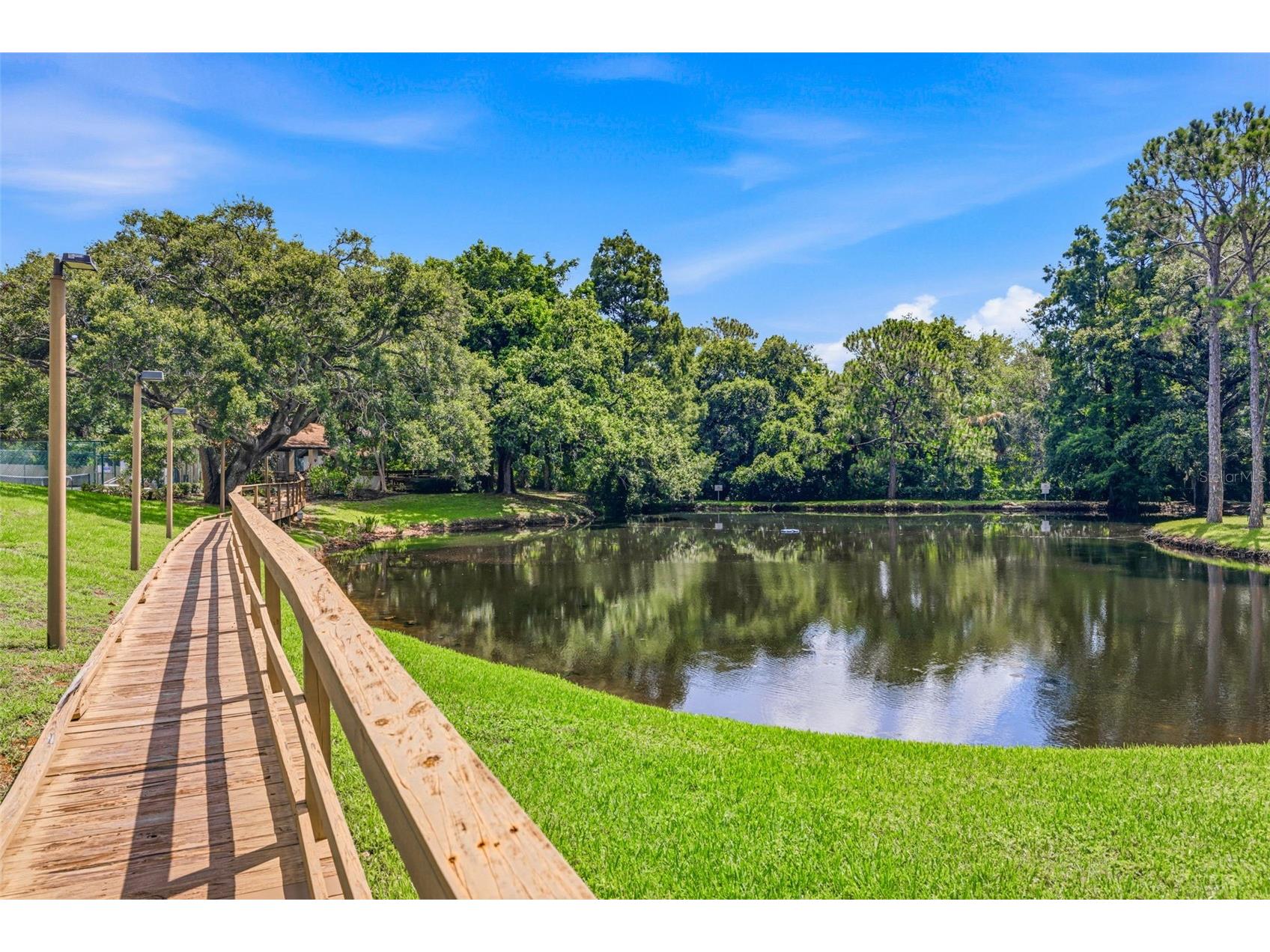 2009 Philippe Court Safety Harbor FL 34695 TB8526082 image49