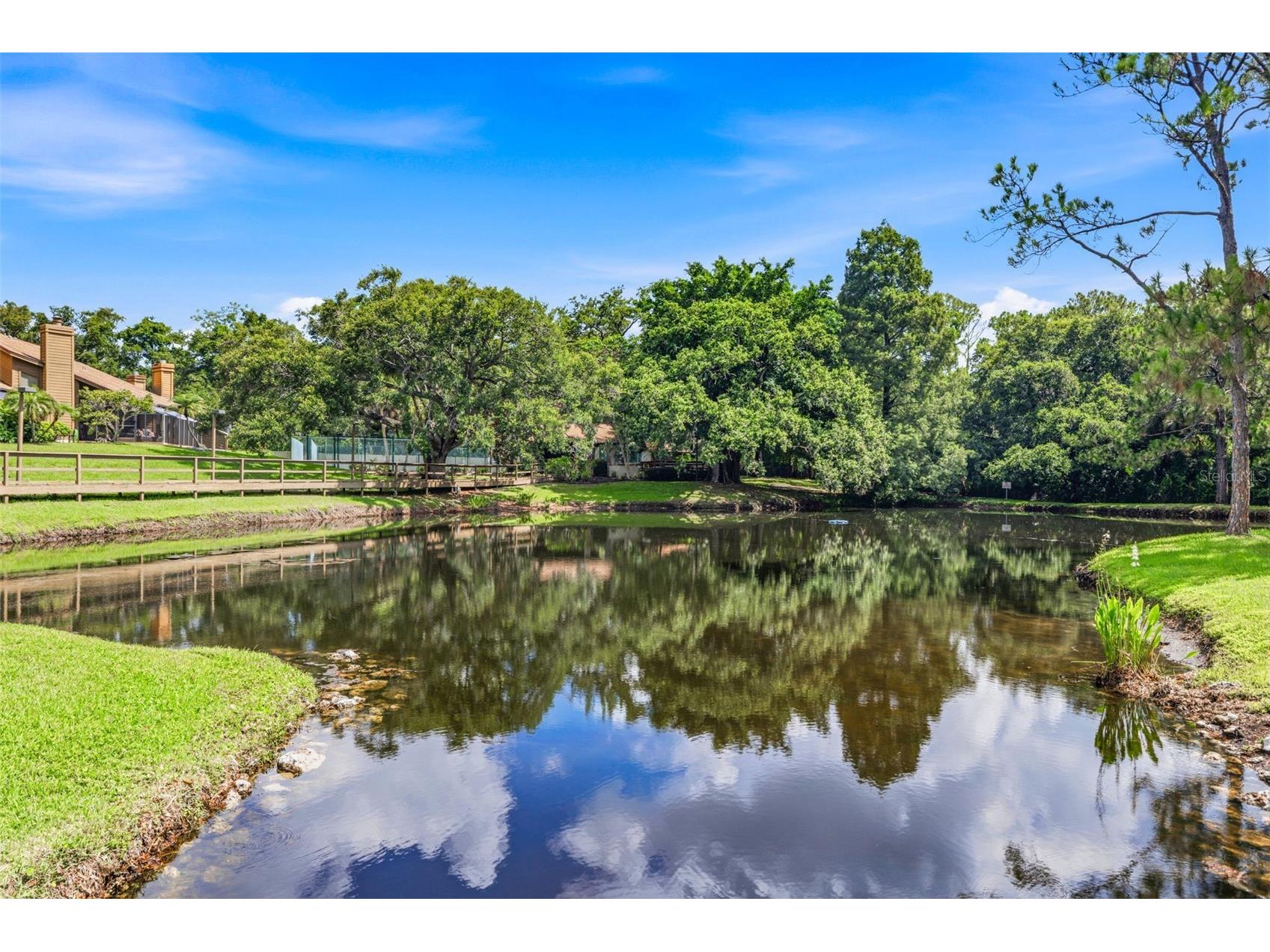 2009 Philippe Court Safety Harbor FL 34695 TB8526082 image50