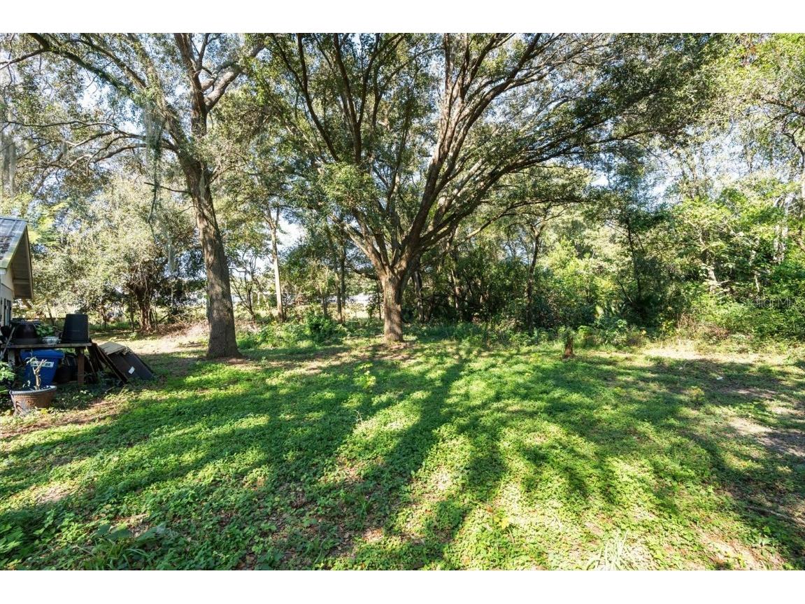 2009 Robie Avenue Mount Dora FL 32757 G5104159 image36