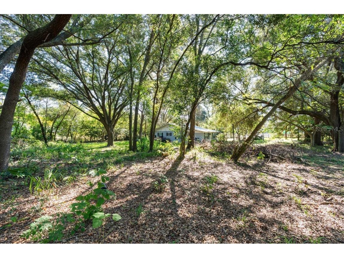 2009 Robie Avenue Mount Dora FL 32757 G5104159 image4