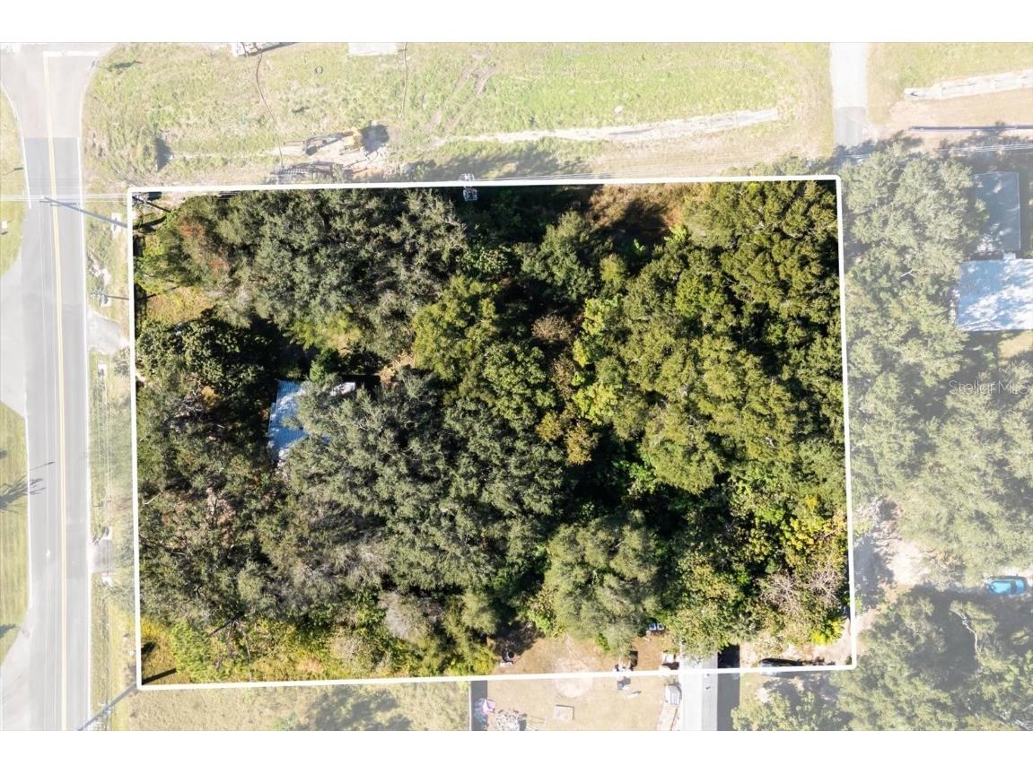 2009 Robie Avenue Mount Dora FL 32757 G5104159 image7